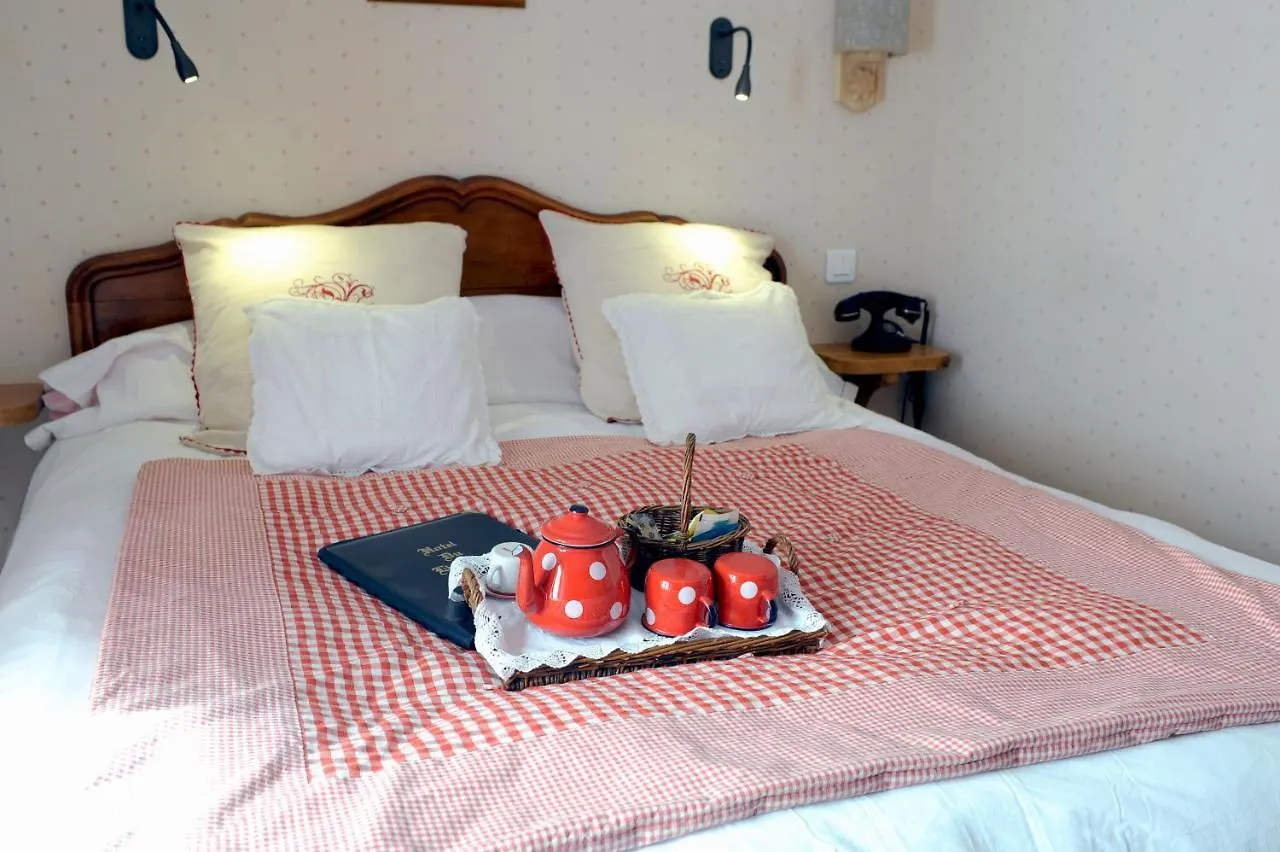 Hotel Du Lion D'Or Cauterets France
