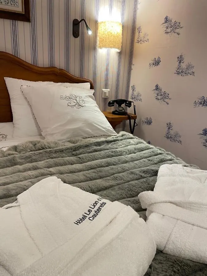 Hotel Du Lion D'Or Cauterets